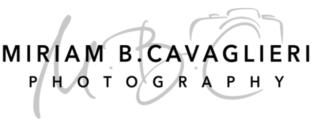 logo mbc
