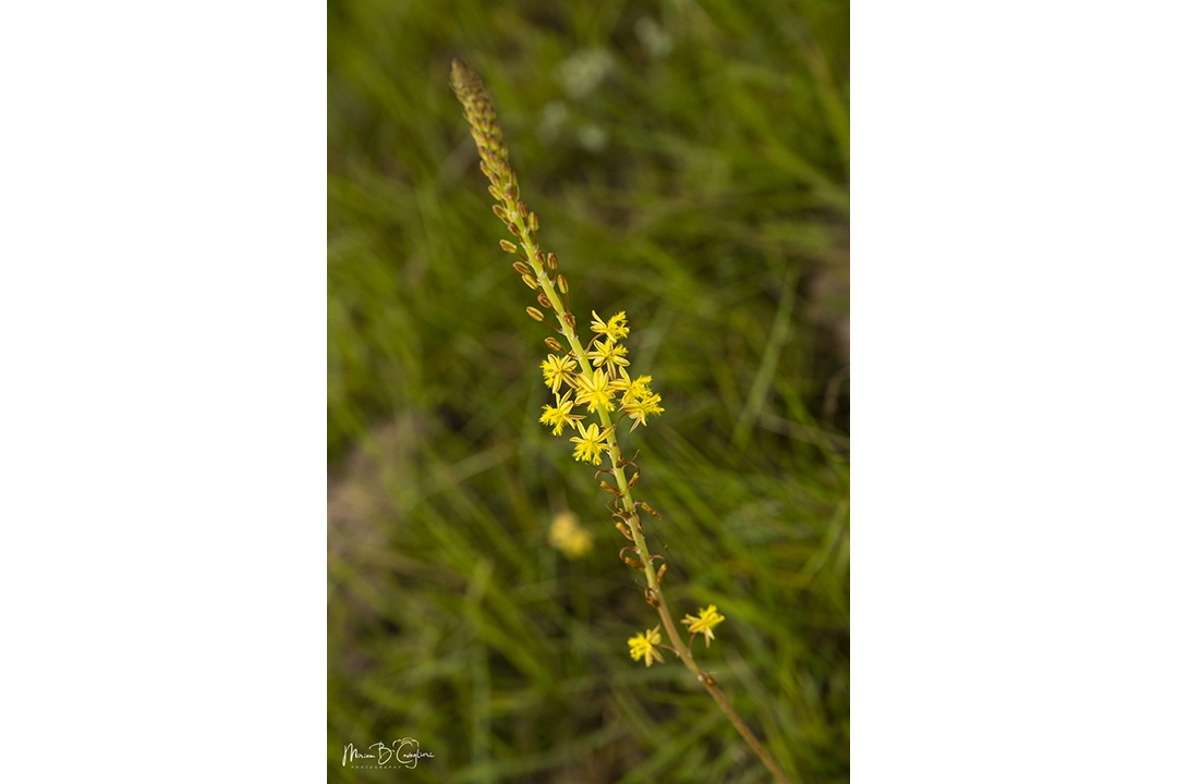 Eco Estate to the Beach