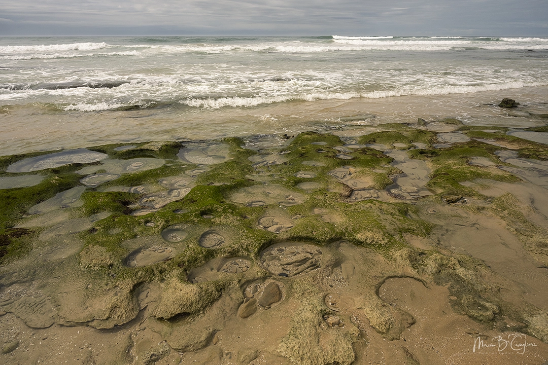 Eco Estate to the Beach