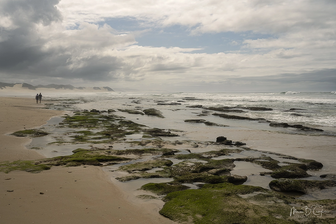 Eco Estate to the Beach