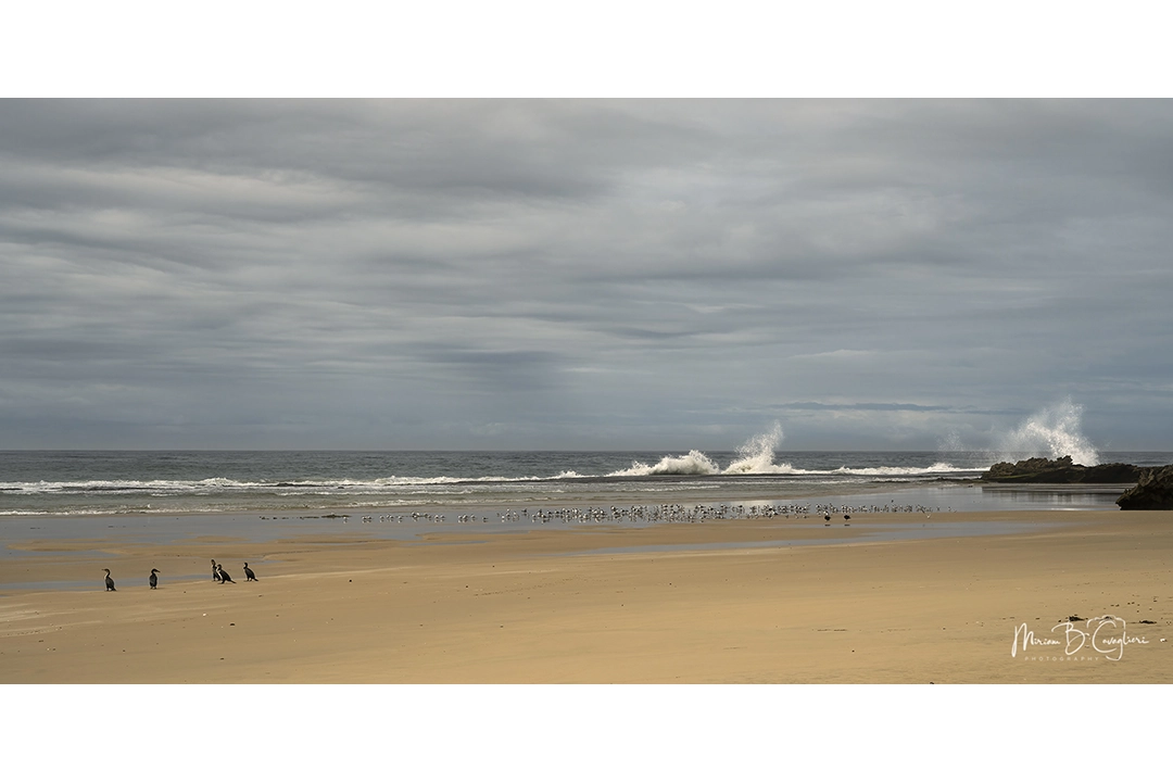 Eco Estate to the Beach