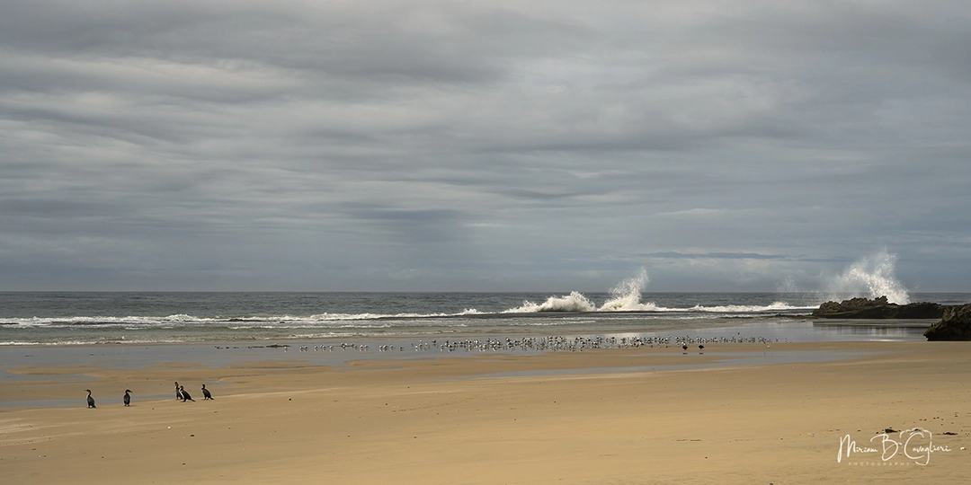 Eco Estate to the beach