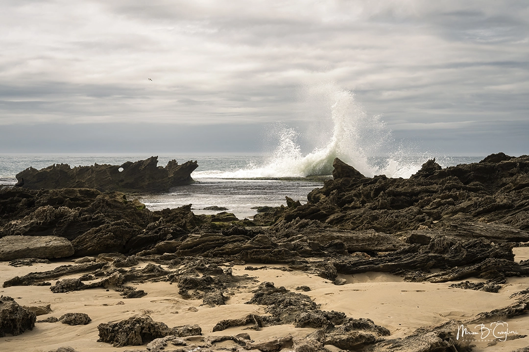 Eco Estate to the Beach