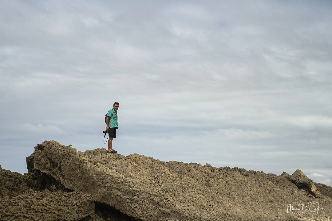 Eco Estate to the Beach