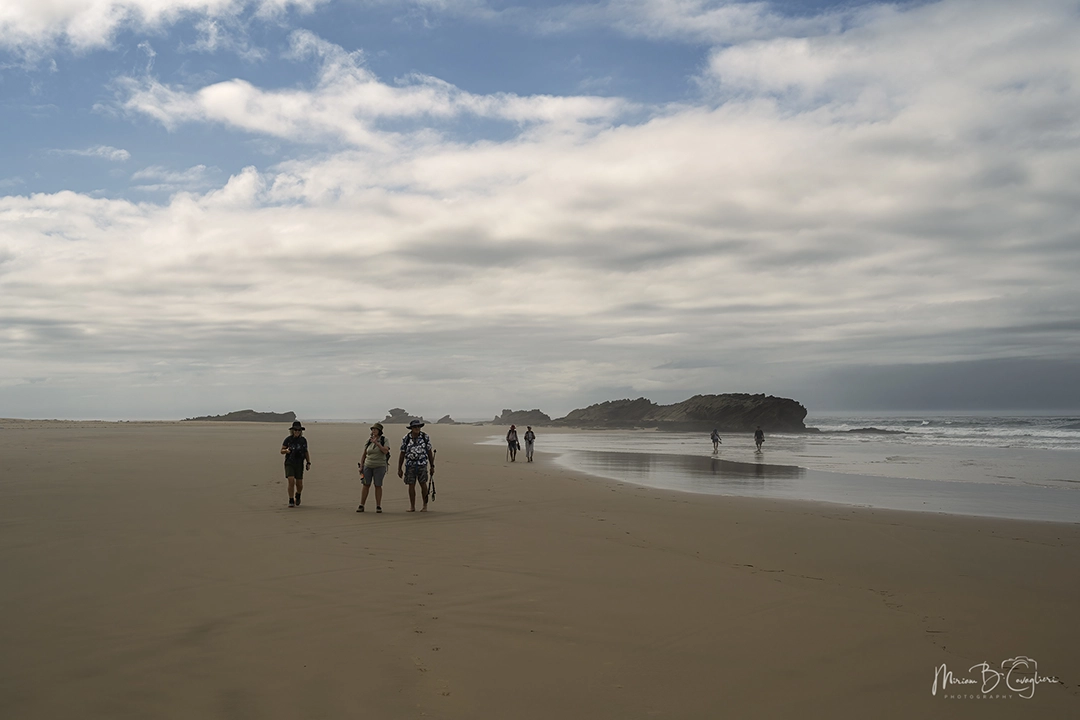 Eco Estate to the Beach