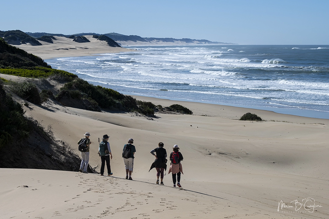 Eco Estate to the Beach