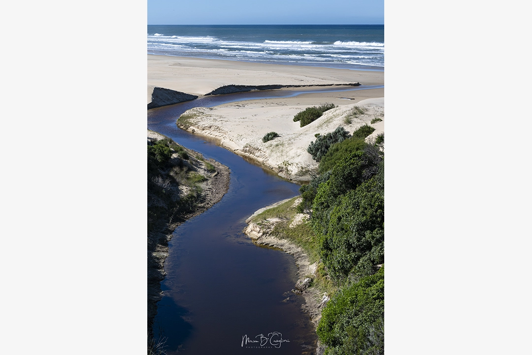 Eco Estate to the Beach