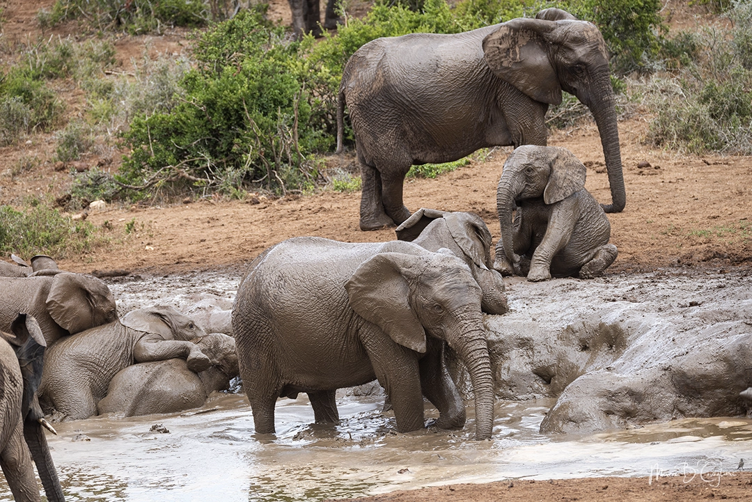 A refresh at the pond