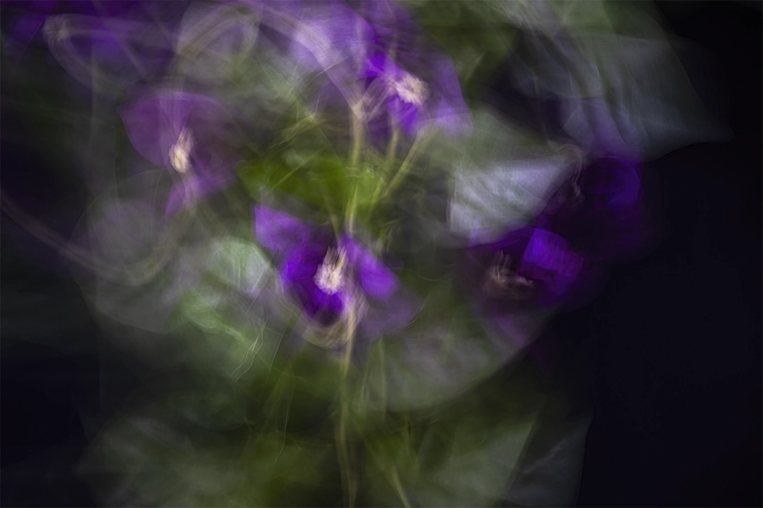 Happy flowers