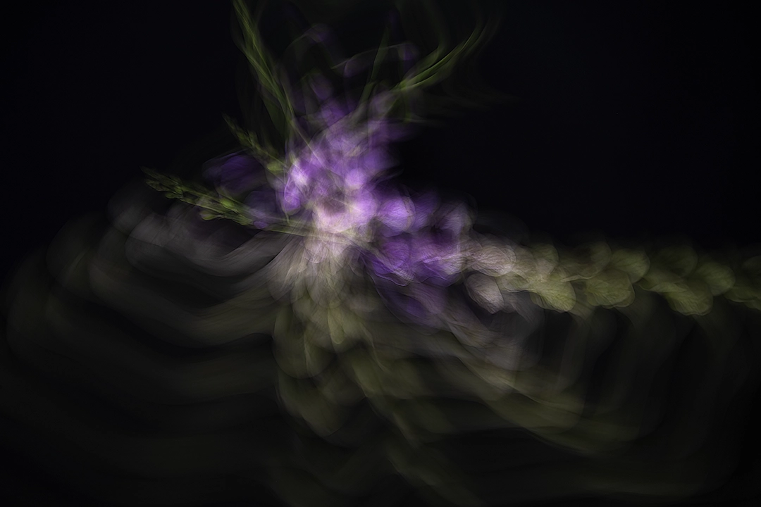 Flying flowers