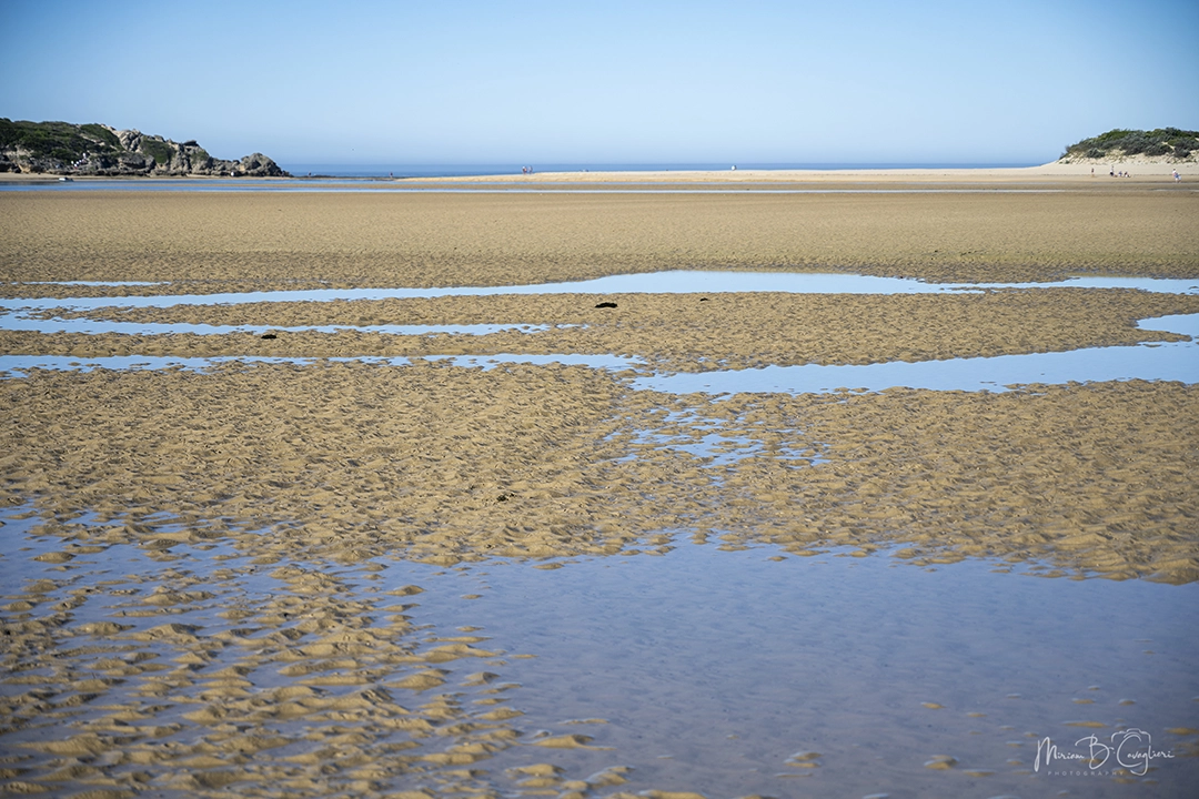 Walk on Kenton beaches