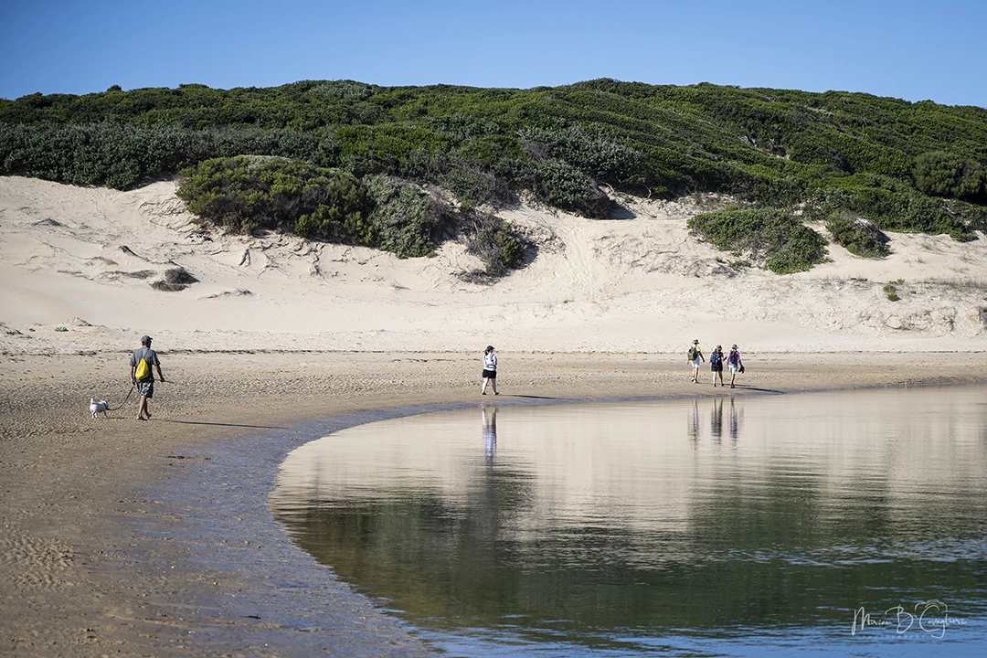 Walk on Kenton beaches