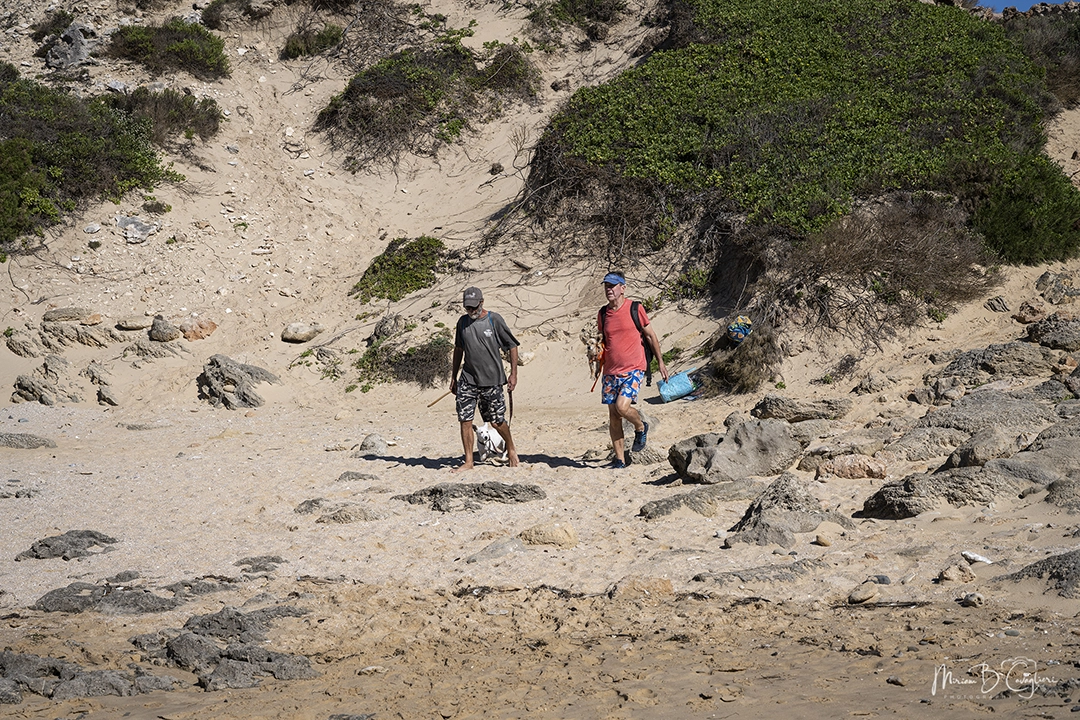 Walk on Kenton beaches