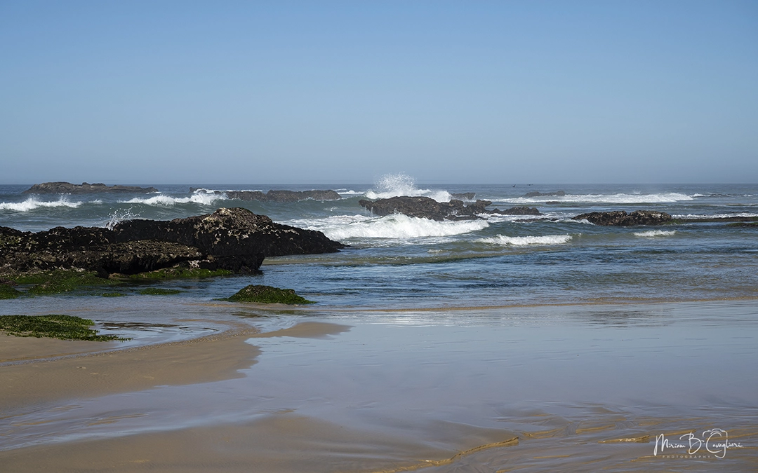 Walk on Kenton beaches