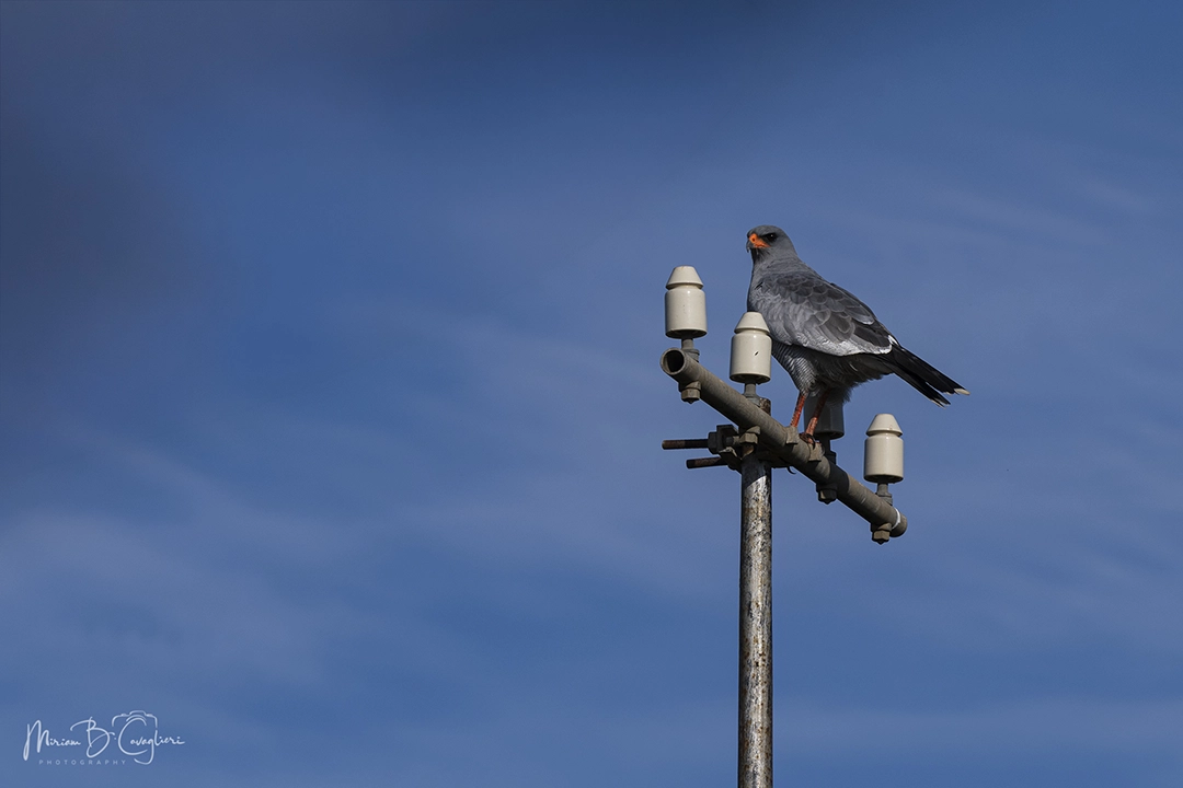 Klipfontein Cottage
