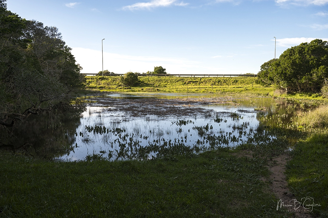 Mervyn's Trail