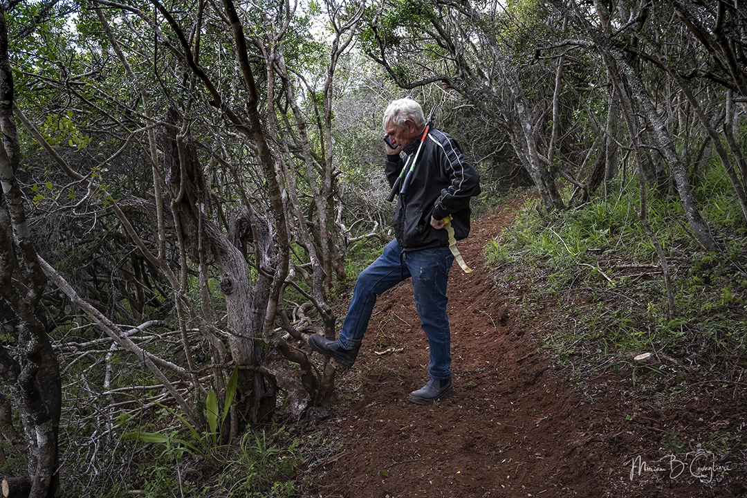 Mervyn's Trail