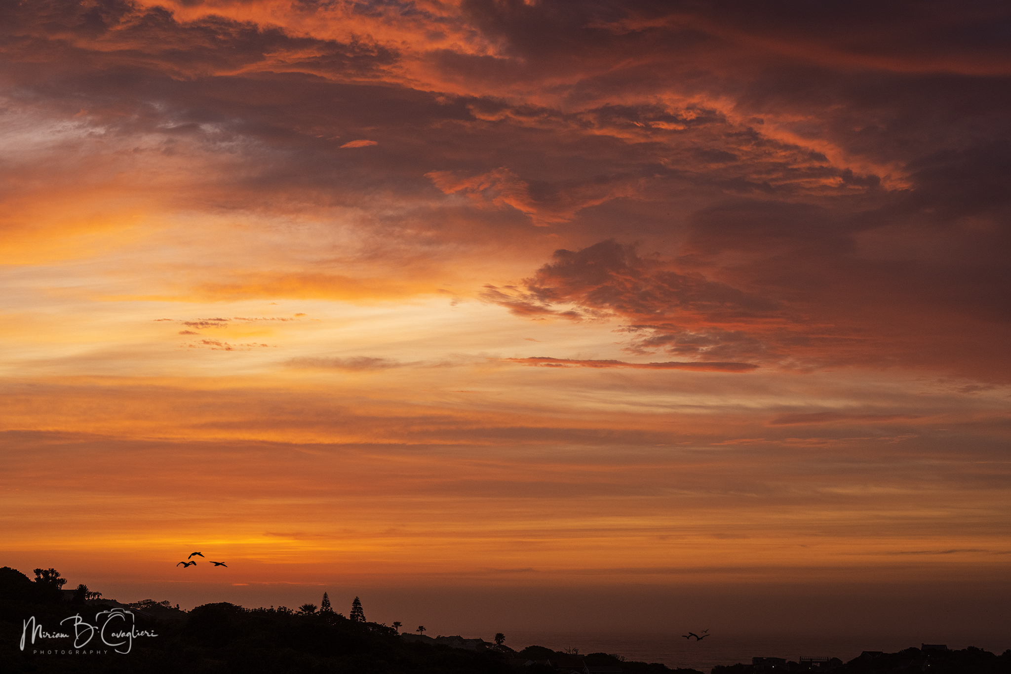 Sunrises and/or sunsets