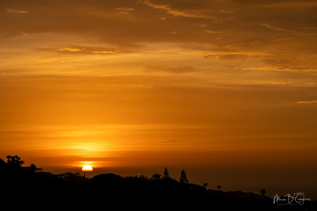 Sunrises and/or sunsets