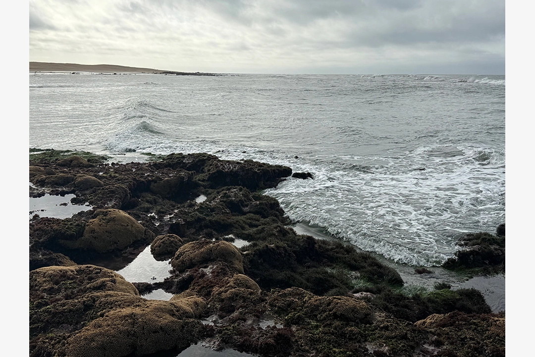 Riet River to Seal Rock