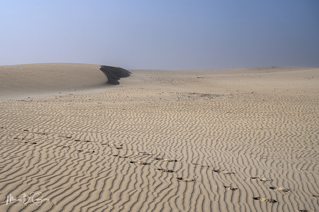 Riet River to Seal Rock