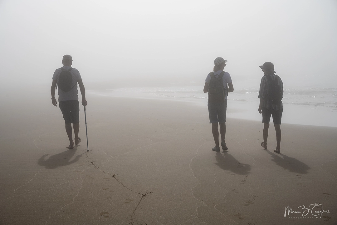 Riet River to Seal Rock