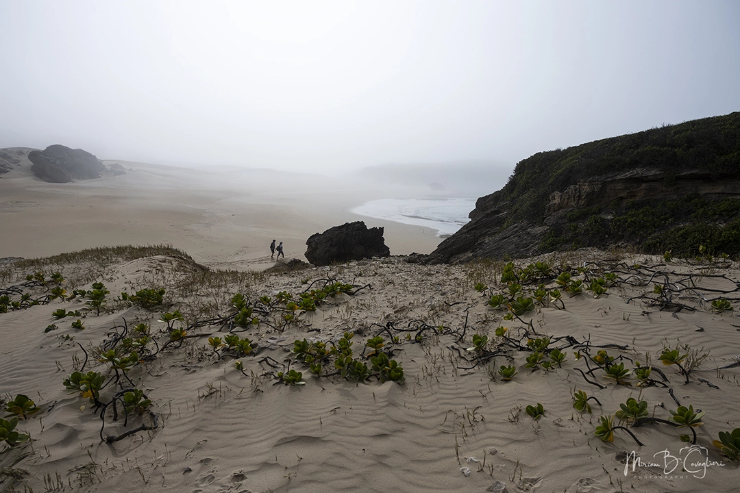Riet River to Seal Rock