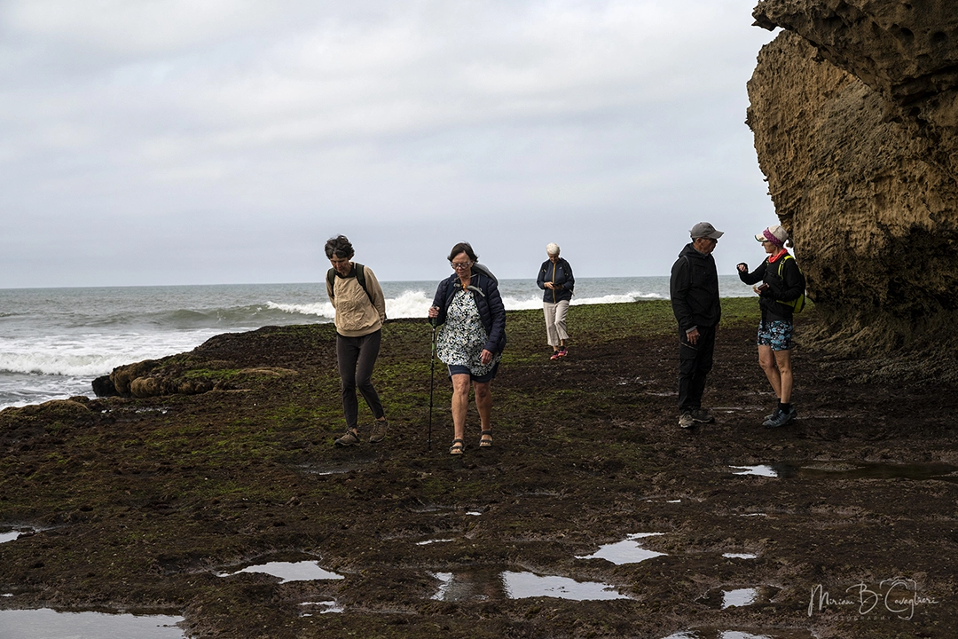 Riet River to Seal Rock