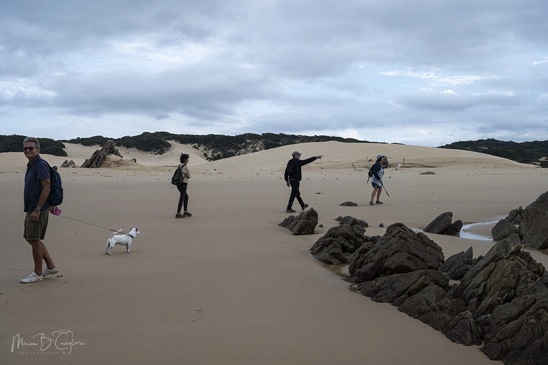 Riet River to Seal Rock