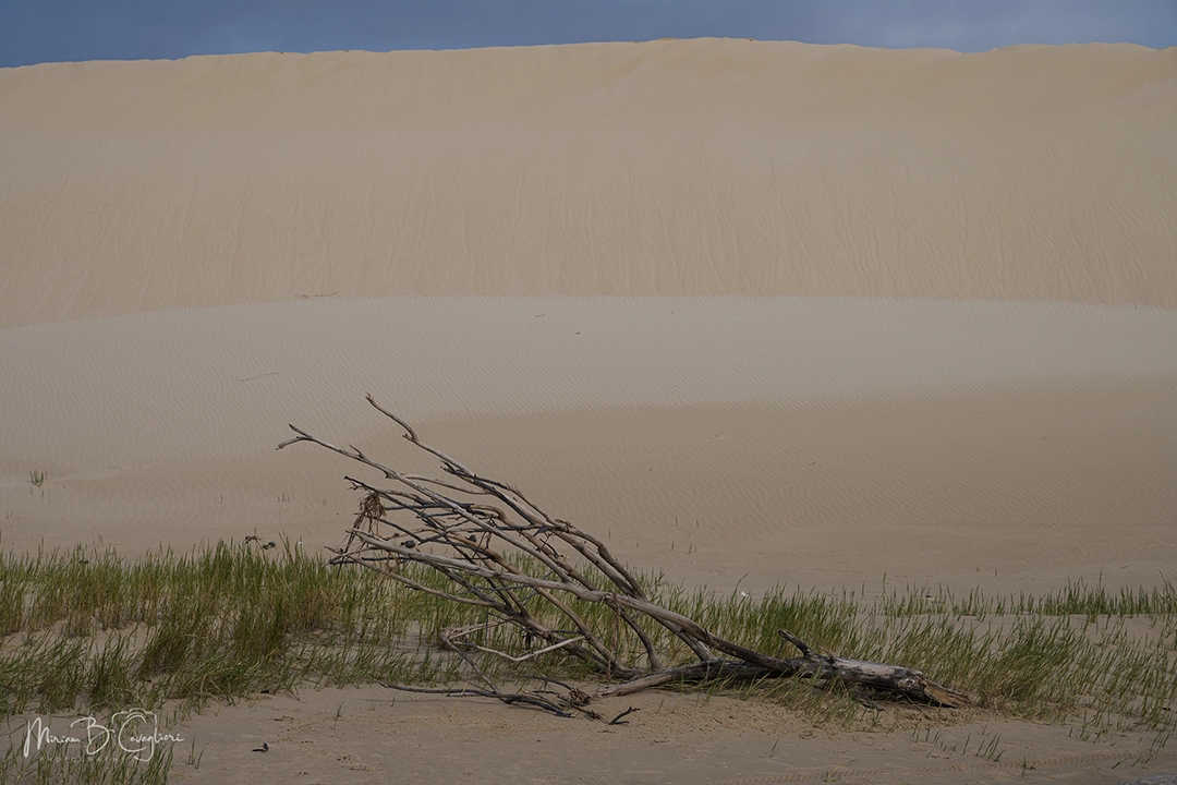 Riet River to Seal Rock