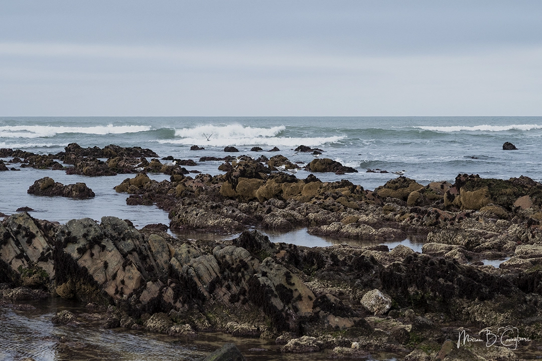 Riet River to Seal Rock