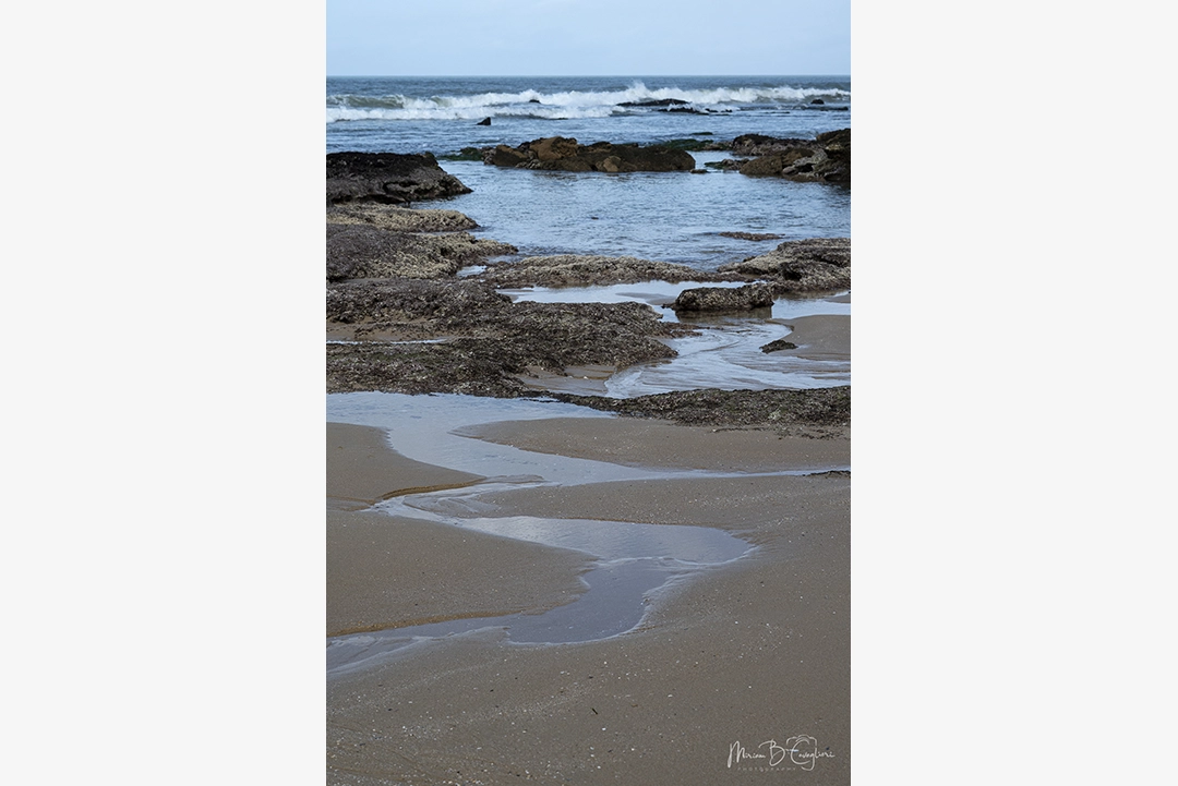 Riet River to Seal Rock
