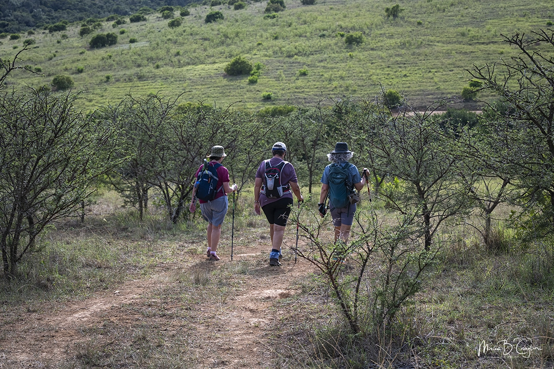 Three Valleys Nature Reserve