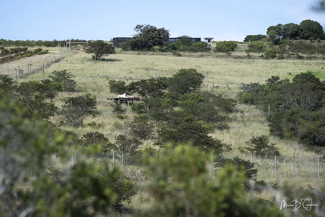 Three Valleys Nature Reserve