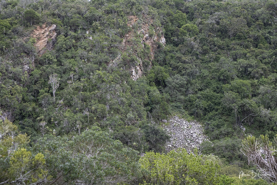 Three Valleys Nature Reserve