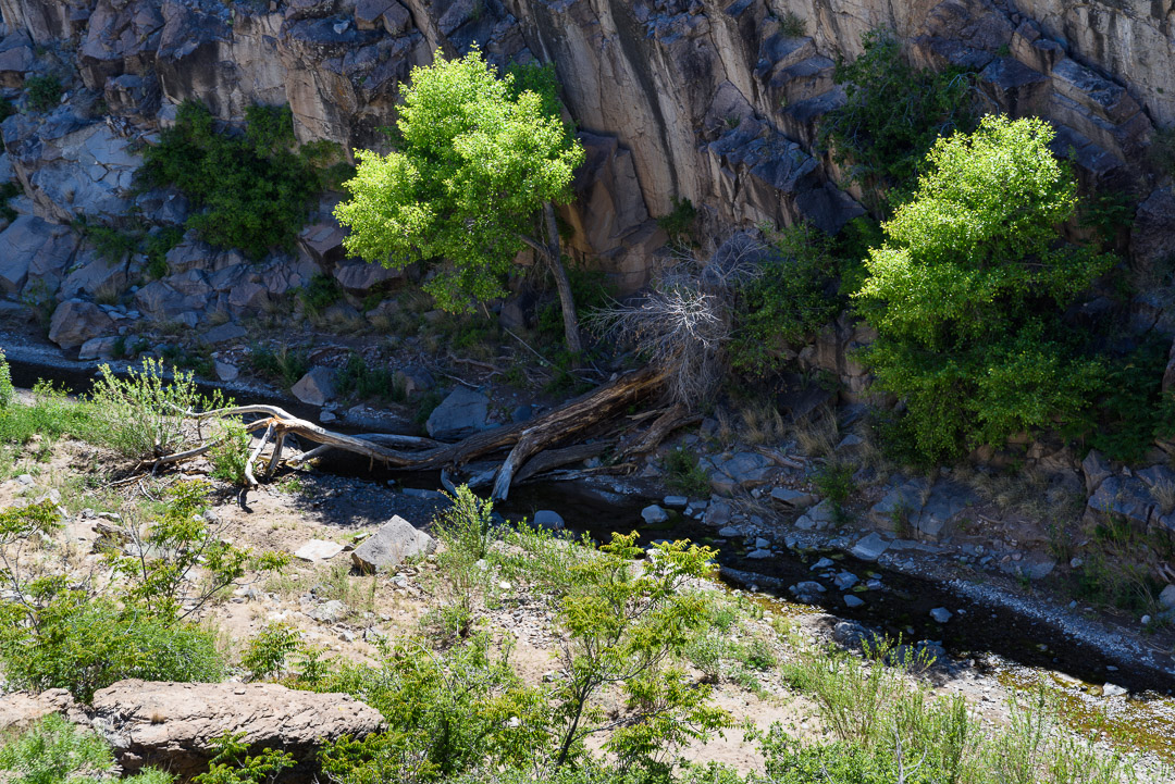 Texas – New Mexico