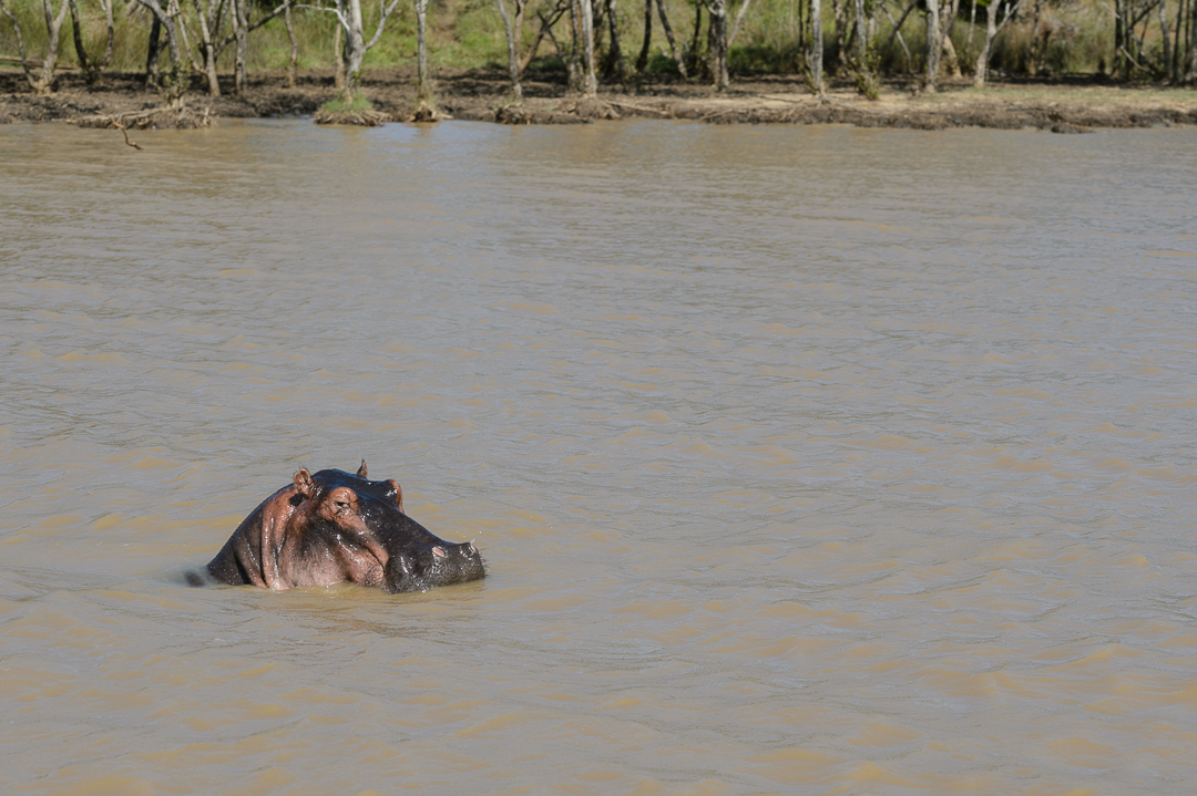 iSimangaliso Wetland Park
