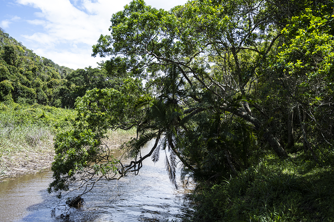 Kap River Conservancy