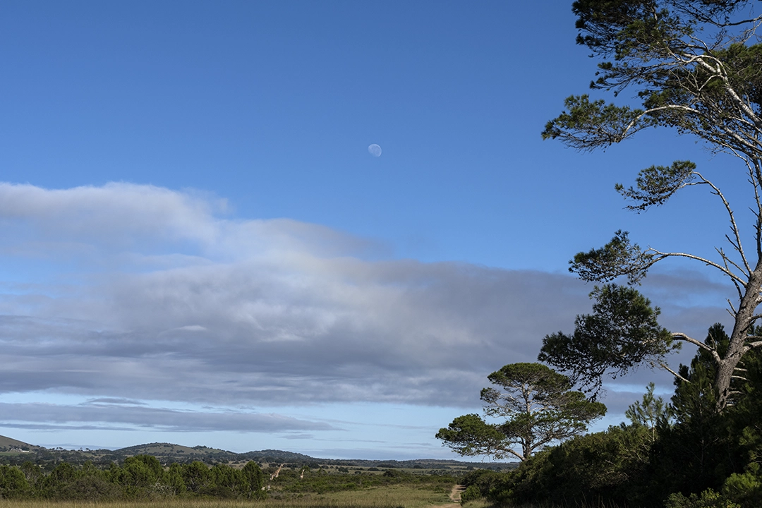 Mansfield Private Reserve