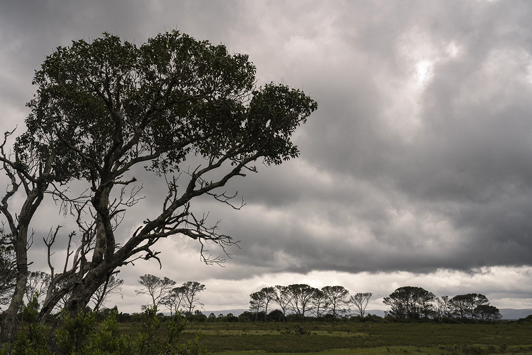 Diepkloof Private Reservel