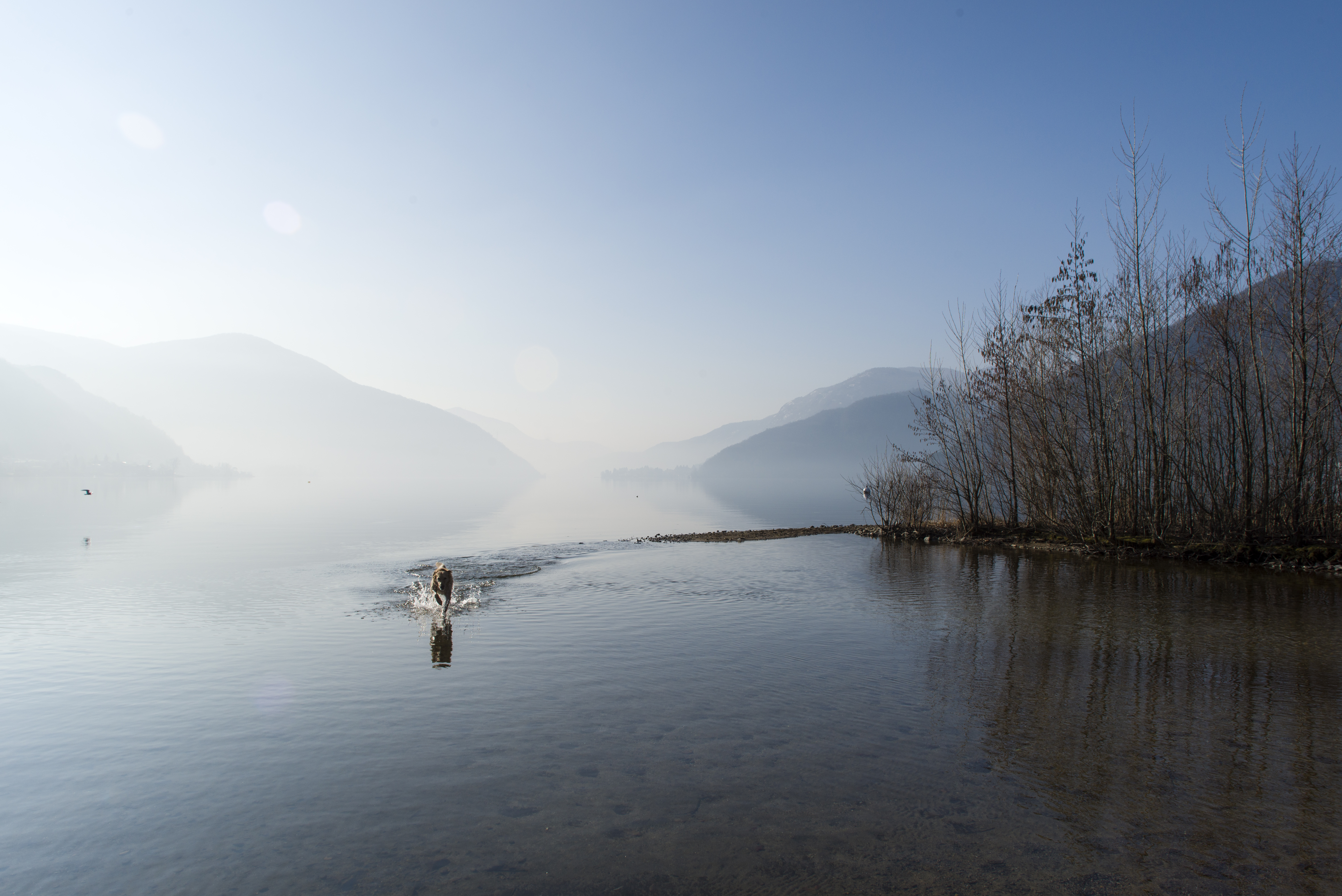 Tommy alla Magliasina