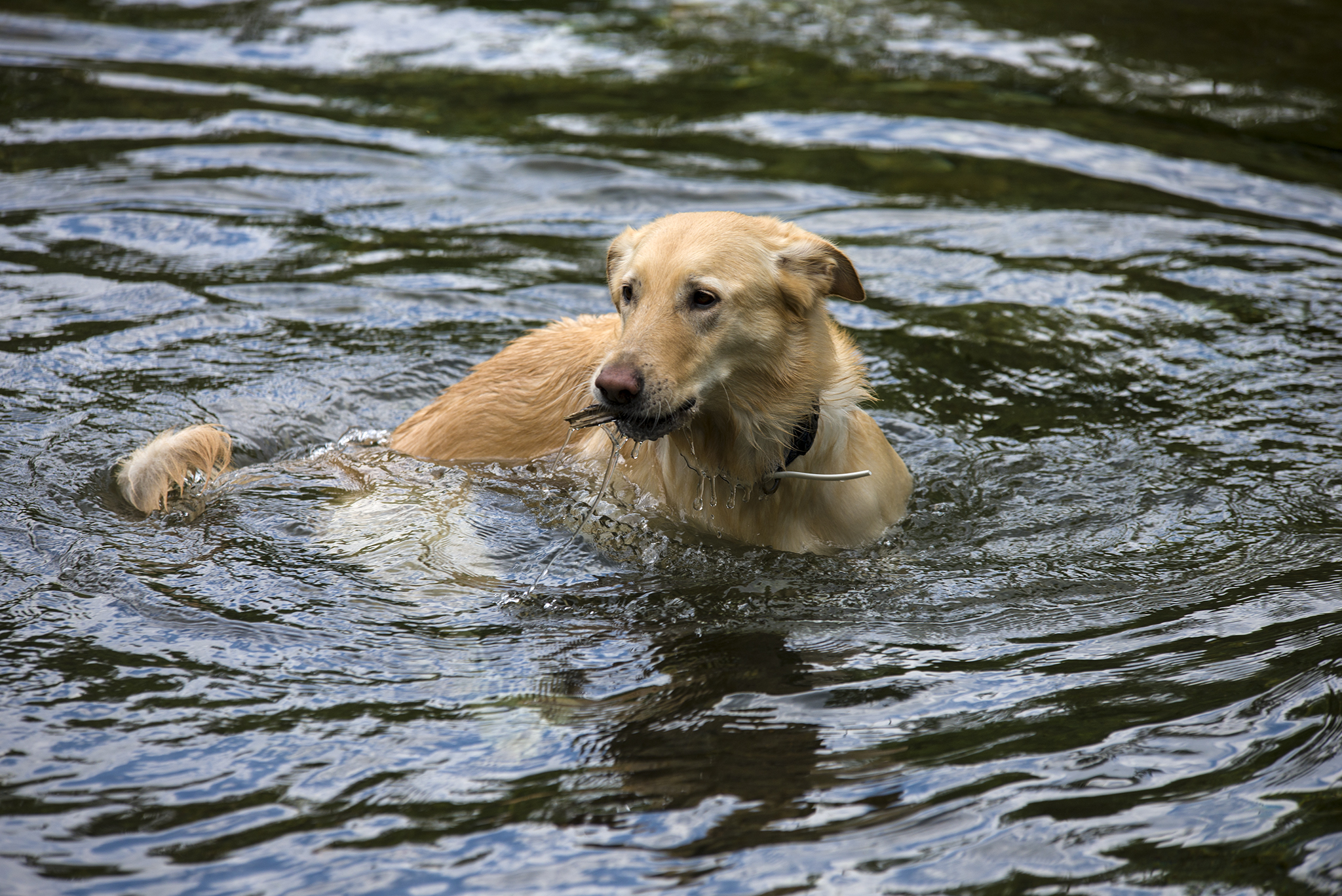 Tommy mentre fa il bagno